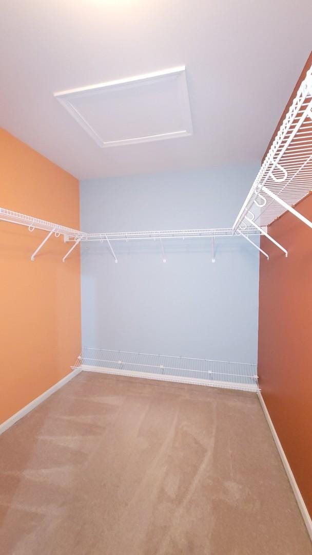 walk in closet with carpet