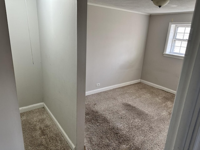 unfurnished room featuring crown molding and carpet flooring