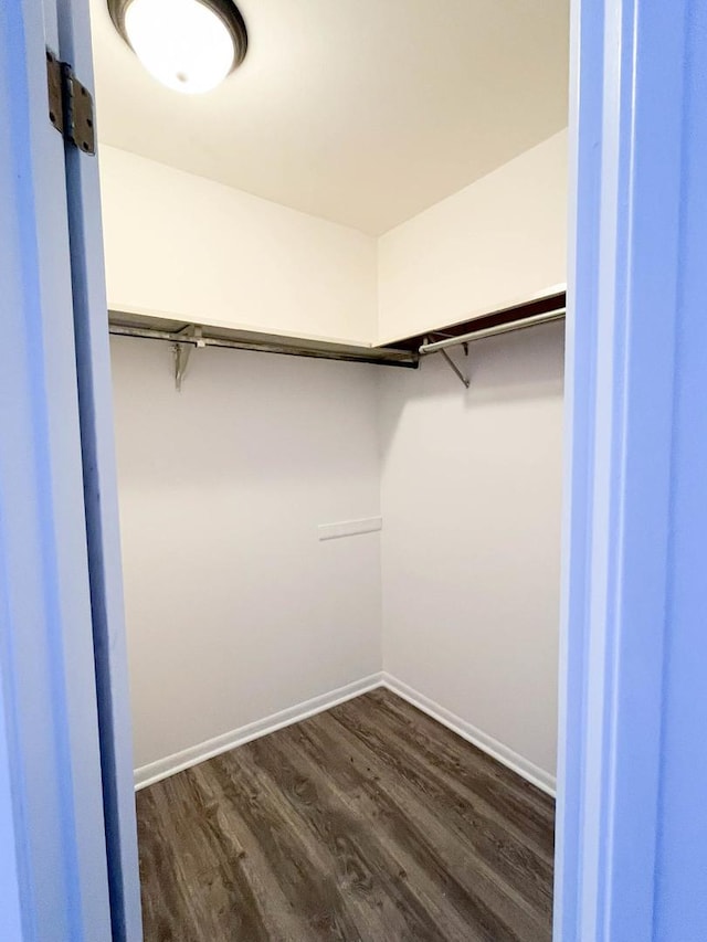 walk in closet with dark wood-type flooring