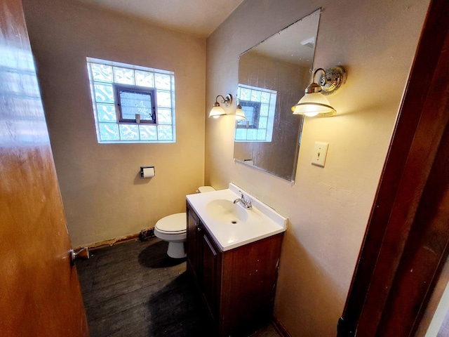 bathroom with toilet and vanity