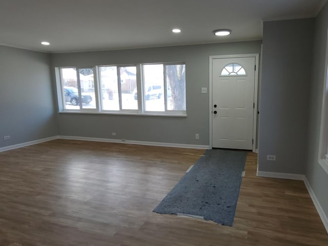 foyer featuring wood-type flooring