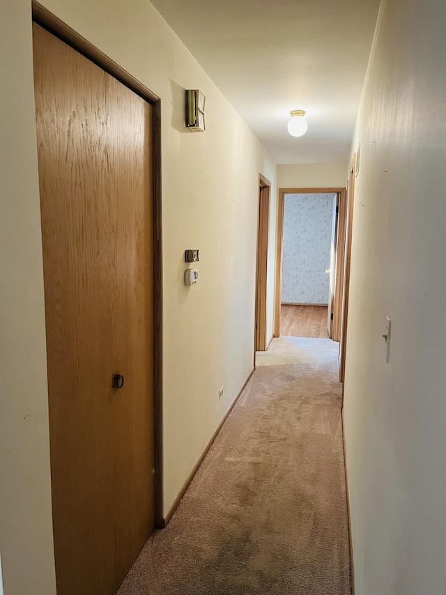 hallway featuring light colored carpet