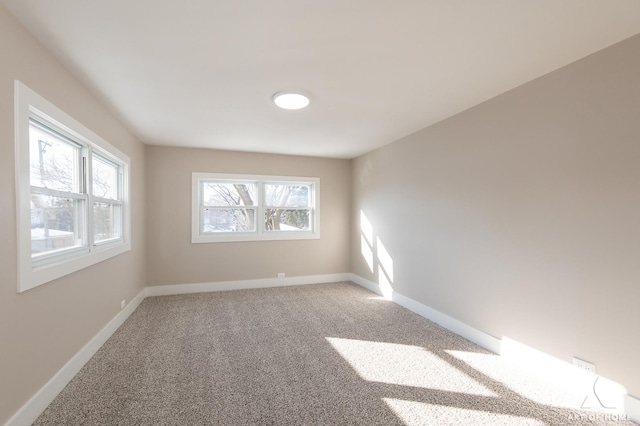 empty room featuring plenty of natural light and carpet flooring