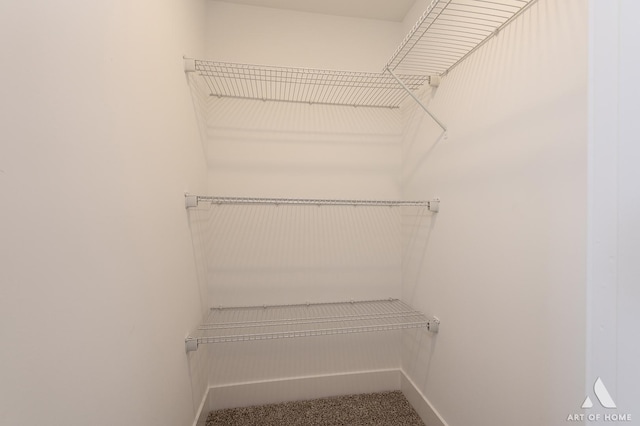 walk in closet with carpet