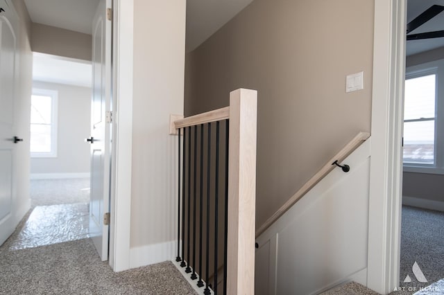 stairway featuring carpet floors