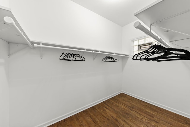 spacious closet with hardwood / wood-style flooring