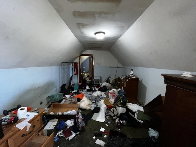 miscellaneous room featuring lofted ceiling