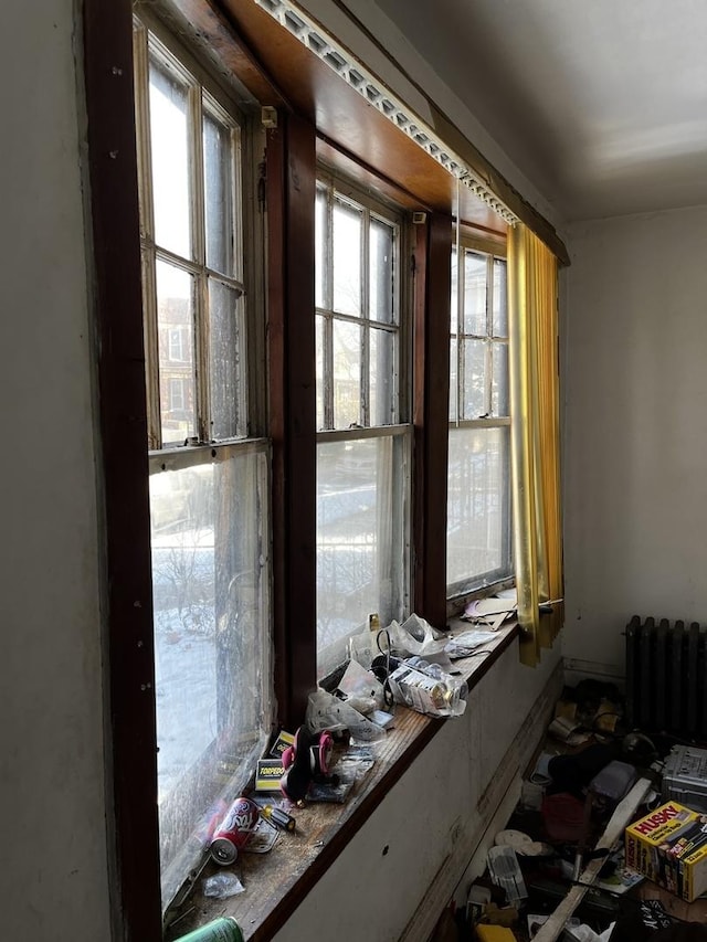 misc room with radiator and a healthy amount of sunlight