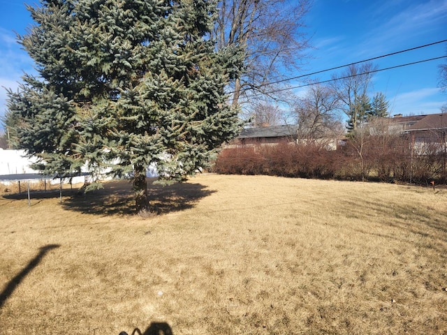 view of yard with a trampoline