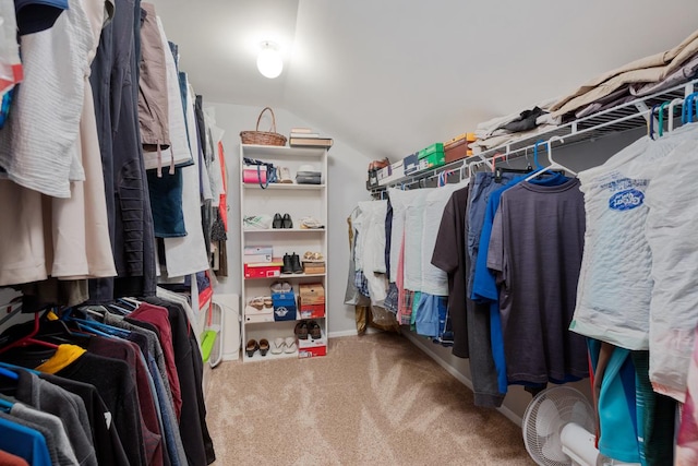 spacious closet with lofted ceiling and carpet flooring