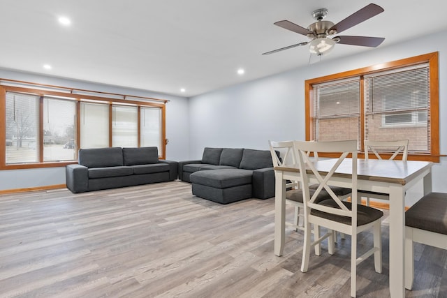 dining space with ceiling fan and light wood-type flooring