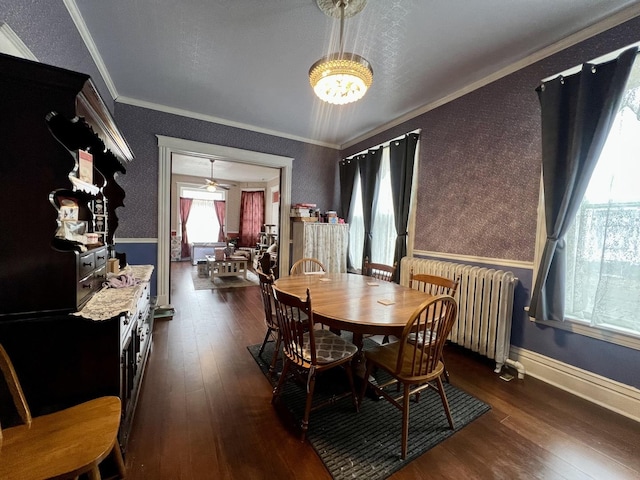 dining space featuring a chandelier, ornamental molding, dark hardwood / wood-style flooring, and radiator