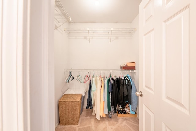 walk in closet featuring carpet