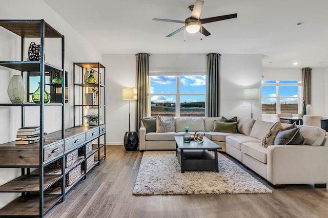 living room with ceiling fan, plenty of natural light, and wood-type flooring