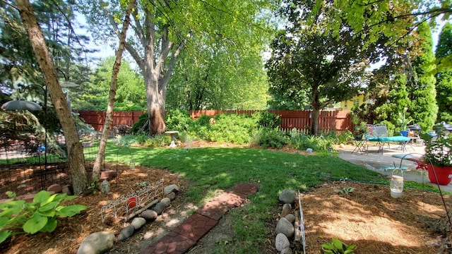 view of yard featuring a patio area and a fenced backyard