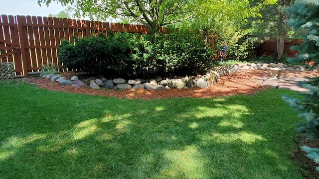 view of yard with a fenced backyard