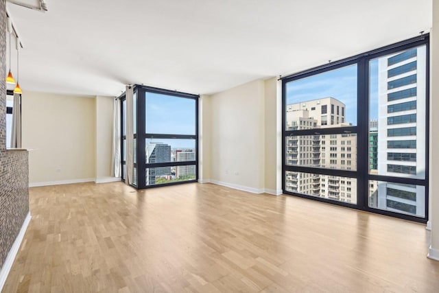 empty room featuring expansive windows and light hardwood / wood-style floors