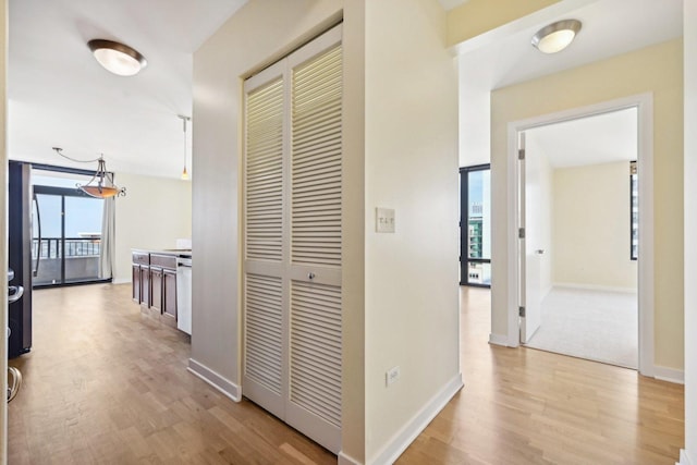 hall with light hardwood / wood-style floors