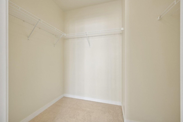 spacious closet with carpet