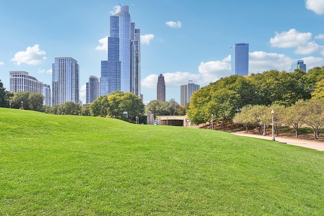 view of community with a lawn