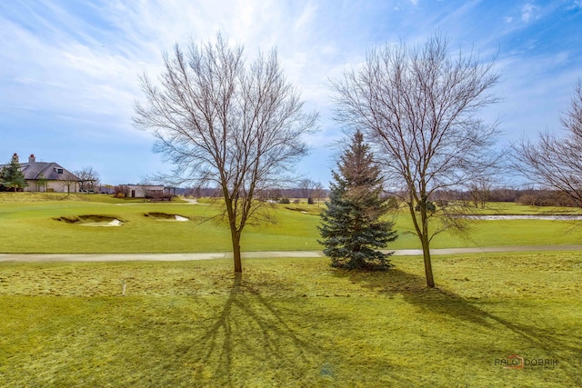 view of property's community with a yard