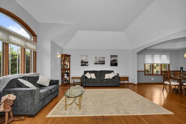 living room featuring wood-type flooring and a raised ceiling