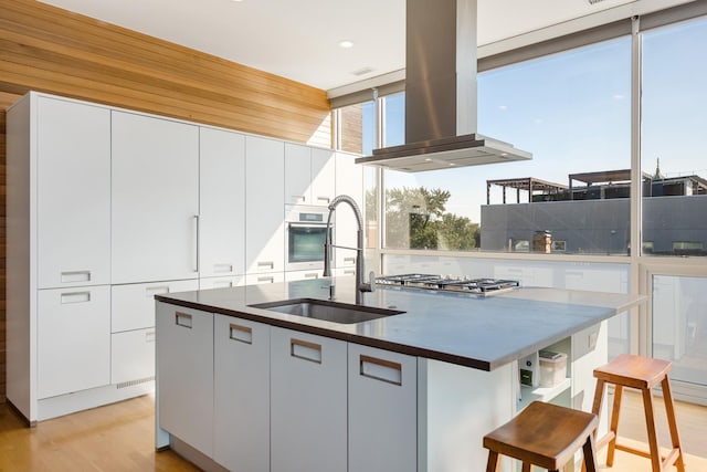 kitchen featuring appliances with stainless steel finishes, island range hood, sink, white cabinets, and a kitchen island with sink