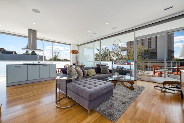 living room featuring plenty of natural light, floor to ceiling windows, and light hardwood / wood-style flooring