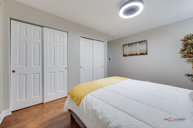 bedroom featuring wood-type flooring and two closets