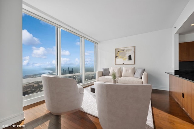 living room featuring hardwood / wood-style flooring, a water view, and a healthy amount of sunlight