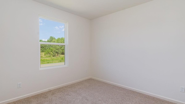 unfurnished room featuring plenty of natural light and carpet floors