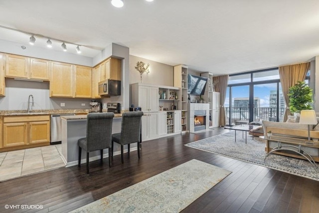 living room with sink, a wall of windows, and dark hardwood / wood-style flooring