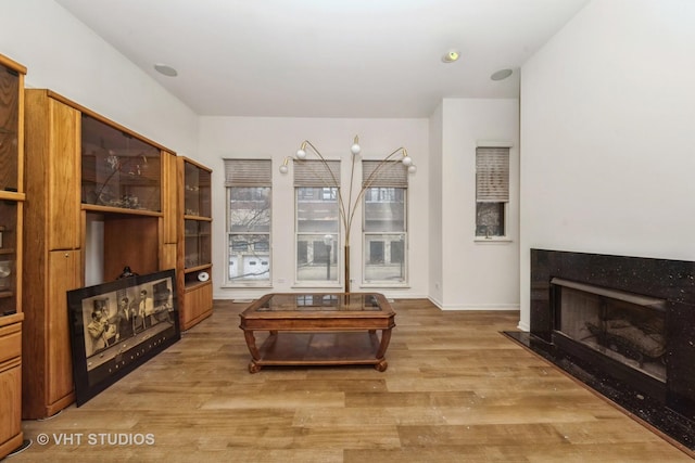 interior space with baseboards, a fireplace with raised hearth, and wood finished floors