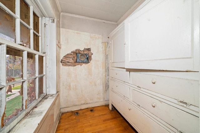 interior space featuring wood-type flooring and ornamental molding