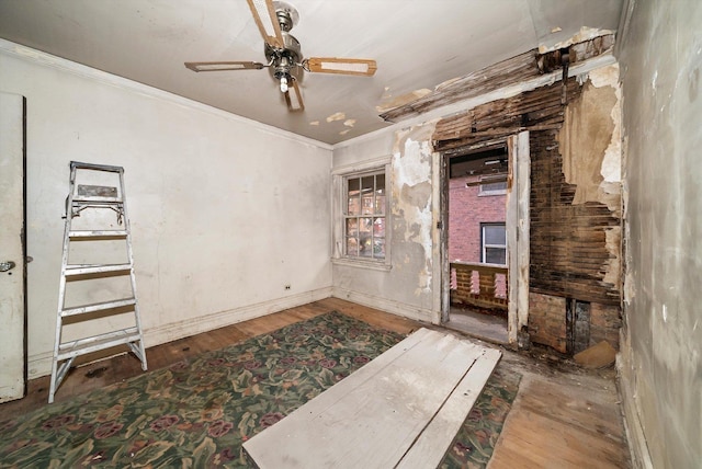 interior space with hardwood / wood-style flooring, ceiling fan, and crown molding