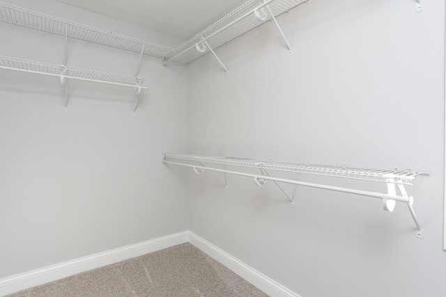 spacious closet featuring carpet floors