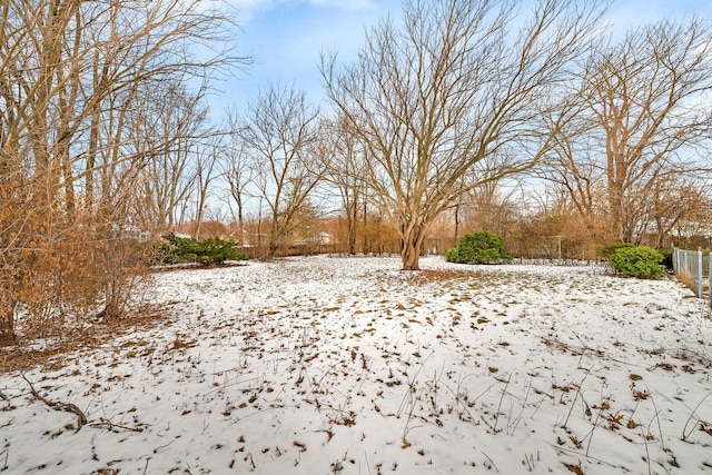 view of snowy yard