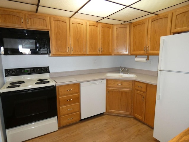 kitchen with sink, a drop ceiling, white appliances, and light wood-type flooring