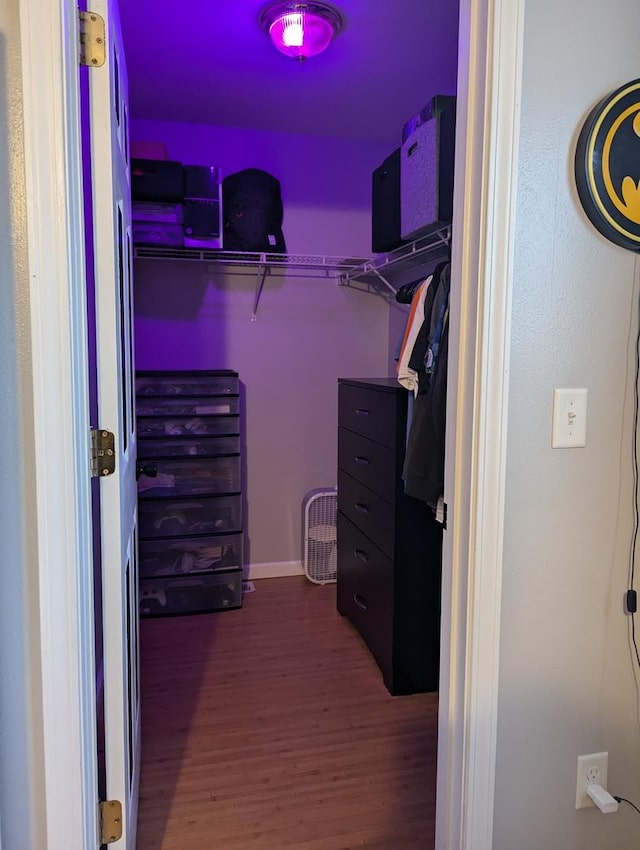 walk in closet featuring wood-type flooring