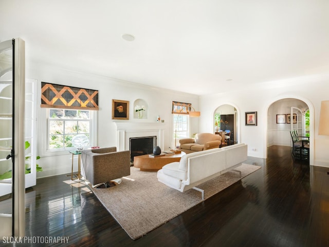 living room featuring dark wood-type flooring and crown molding