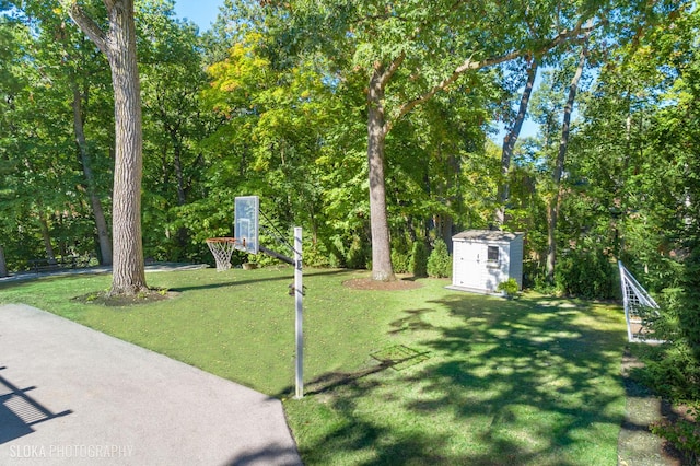 view of yard featuring a storage shed