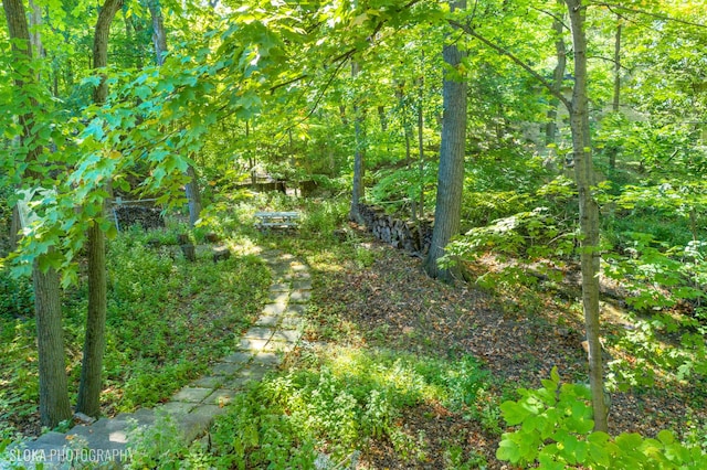 view of landscape