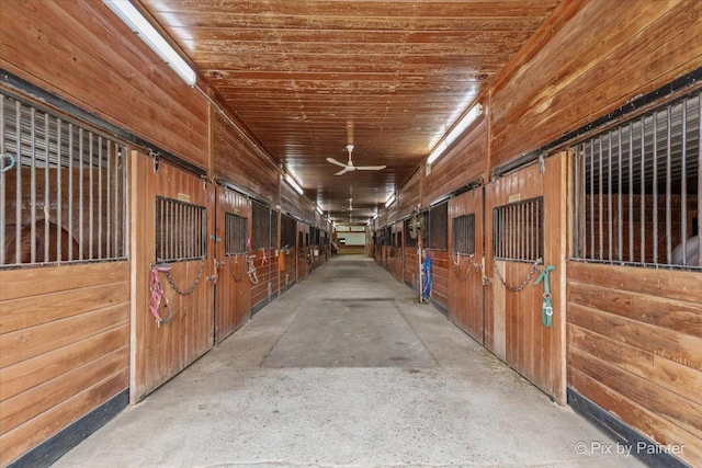 view of stable