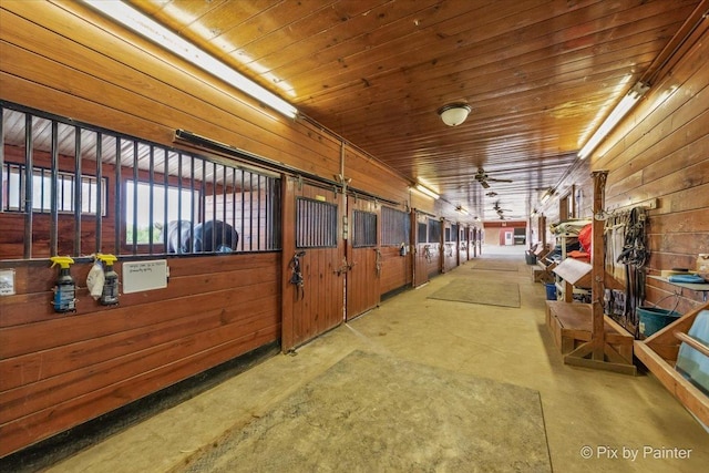 view of horse barn