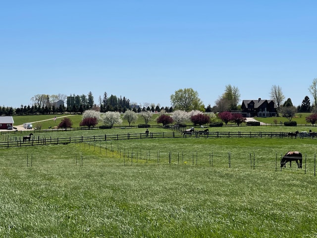 view of yard with a rural view