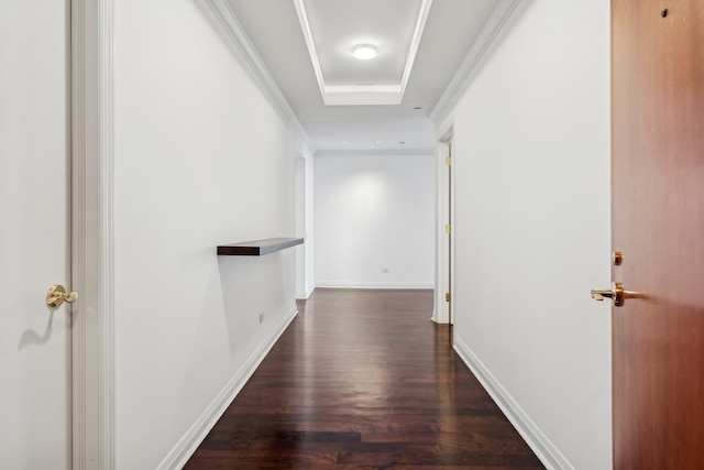 hallway featuring crown molding and dark wood-type flooring