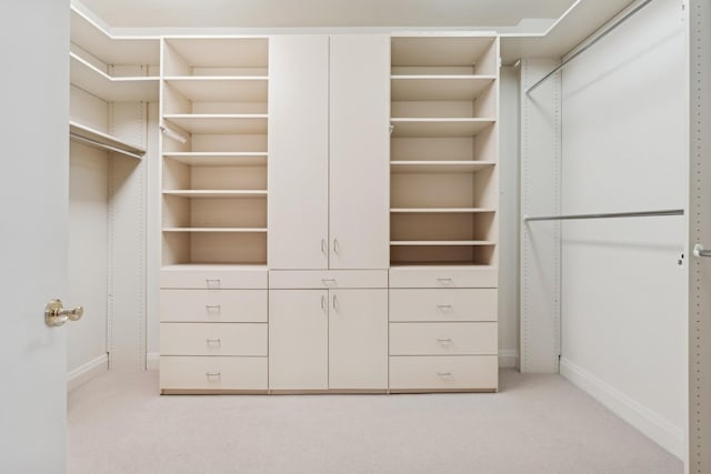 walk in closet with light carpet