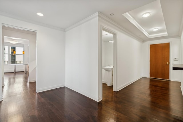 corridor featuring ornamental molding, dark hardwood / wood-style floors, a raised ceiling, and sink