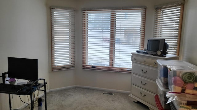 interior space with light colored carpet