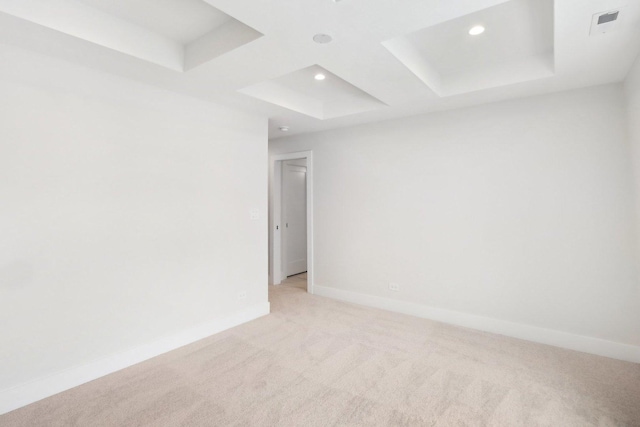 carpeted spare room with a raised ceiling